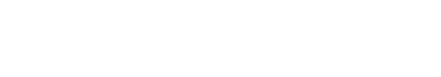 Rauda AI